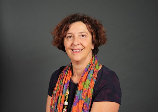 Elus du conseil municipal du Mans